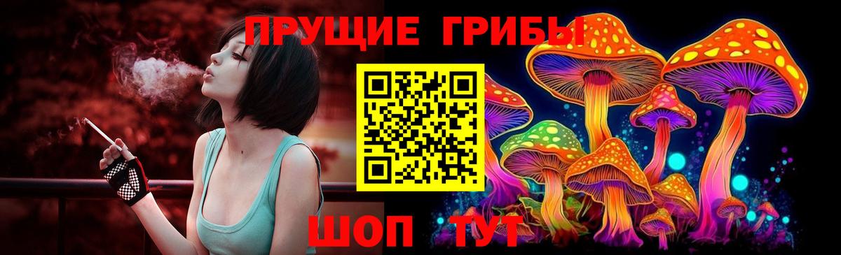 Псилоцибиновые грибы мицелий  как найти закладки  Псилоцибиновые грибы Psilocybe  Карачаевск  Вход с VPN 